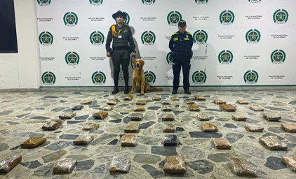 “Jeffry” halló 23 kilos de marihuana en la terminal de transportes de Ibagué 