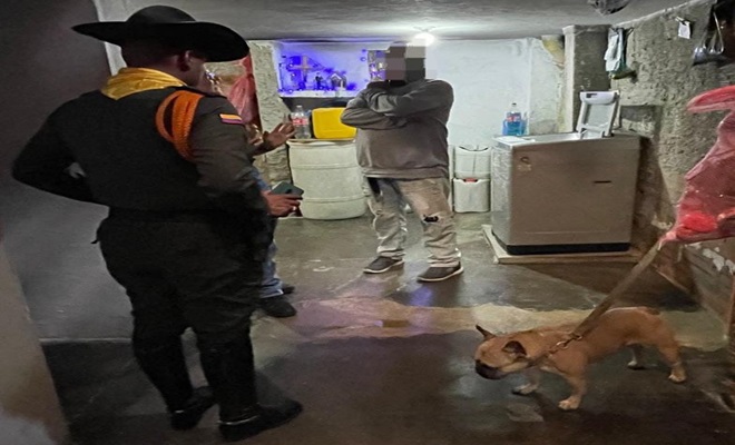 La denuncia a través de las redes sociales nos permiten actuar oportunamente. 