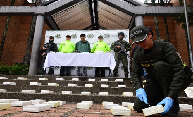 Revisión del alcaloide