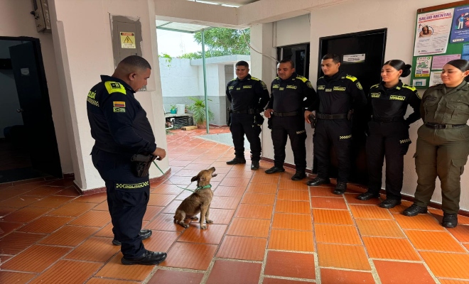 Sam una perrita callejera se convirtió en la mejor amiga de la Policía en San Jacinto.