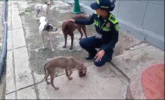 Su alegría al ver a un miembro de la Institución es indescriptible