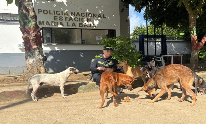 Su carrera lo llevó a territorios difíciles 