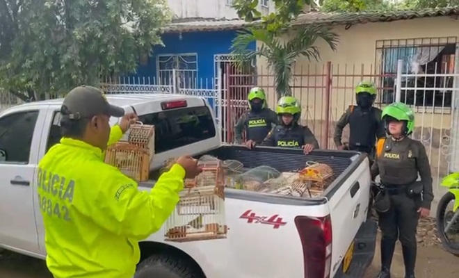 “Candela”, impactante operación policial, contra el tráfico de fauna en Cartagena
