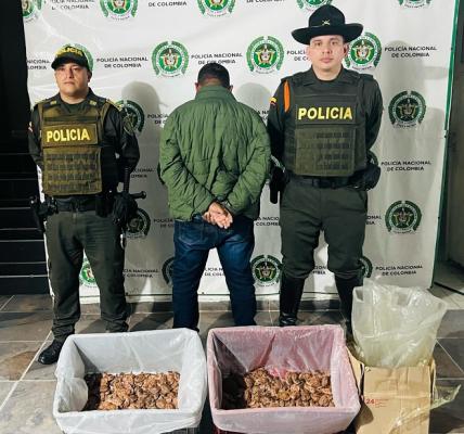 Unidos por la protección de la fauna silvestre en el Meta 