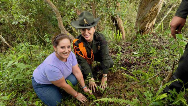 En compañia de los diferentes ingenieros ambientales de la región se realiza de forma técnica la reforestación de estos bosques.