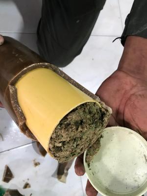 El-sabueso-de-las-drogas-ilícitas  