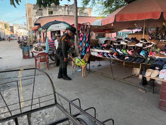 Actividades de busqueda contra la polvora