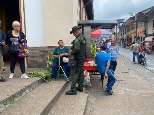 Controles ambientales para evitar la comercialización de Palma de Cera en la semana mayor