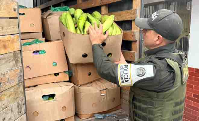 Policía revisando alimentos incautados