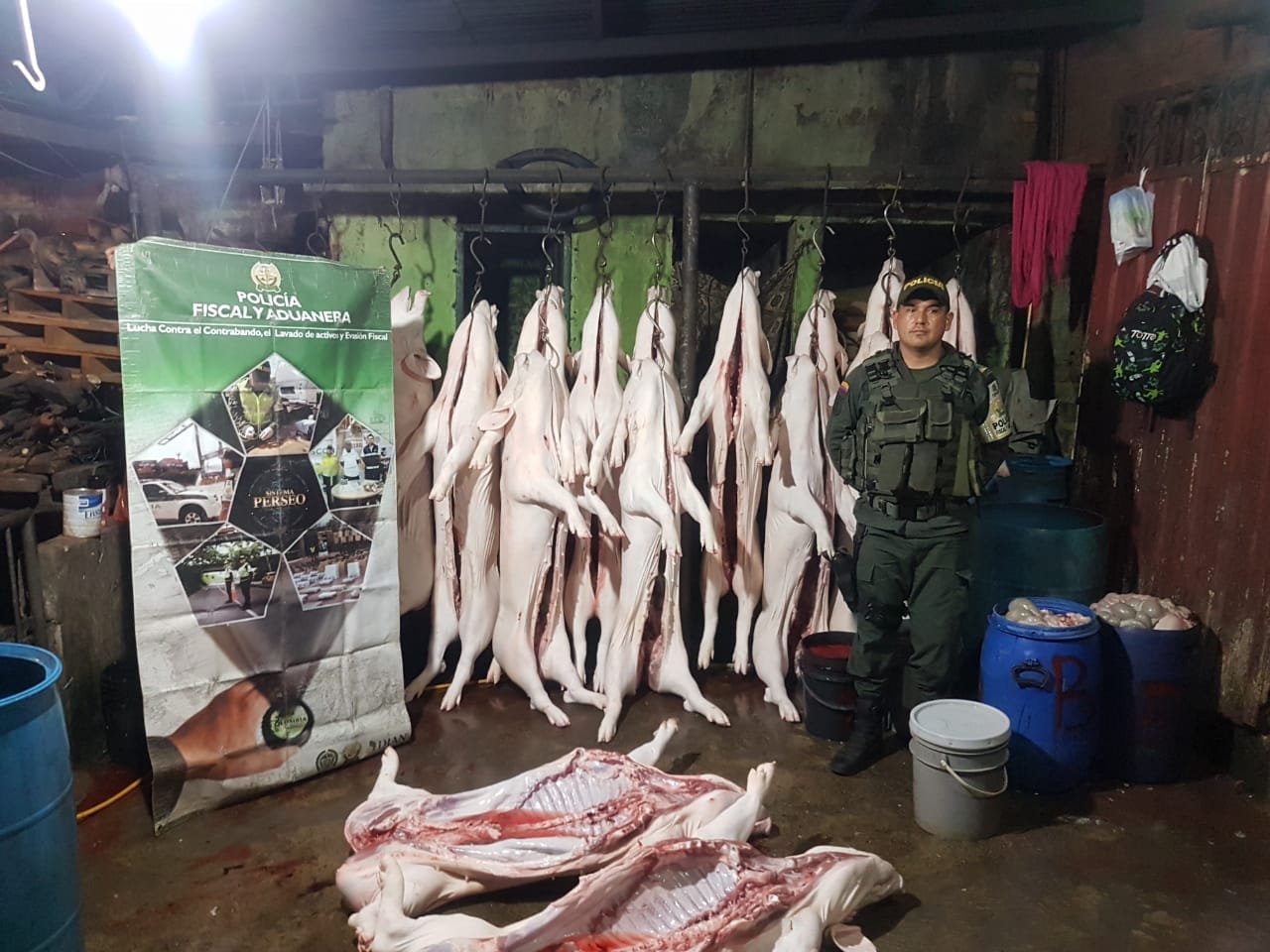 aprendidos-696-de-carne-cerdo