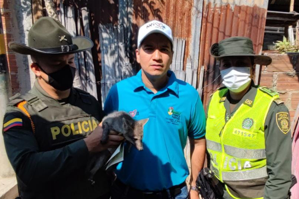 Grupo de Protección Ambiental y Ecológica