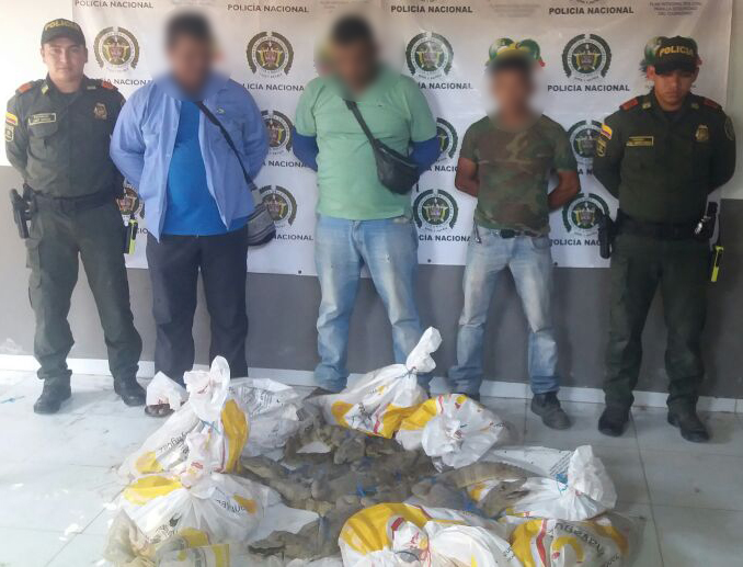 Comercializaban 120 babillas