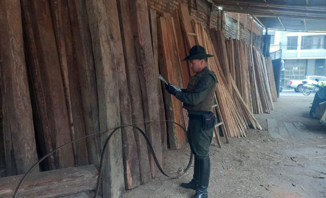 Carabineros y Protección Ambiental, llevó  a cabo acciones de control y revista en aserríos