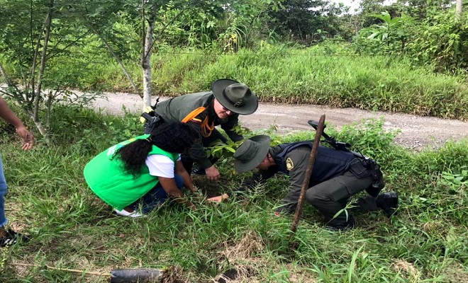 Celebramos el día de la tierra