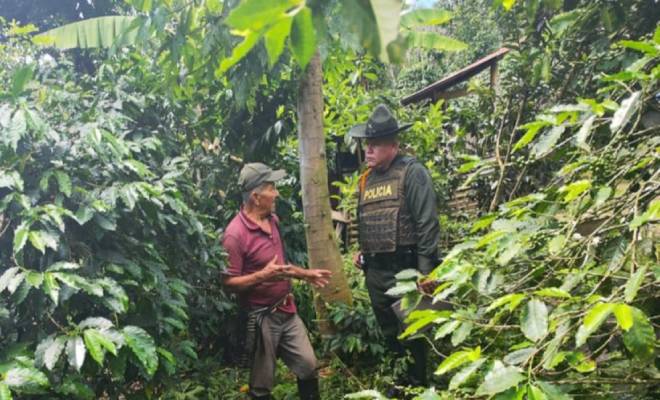 Durante este primer semestre del 2025.