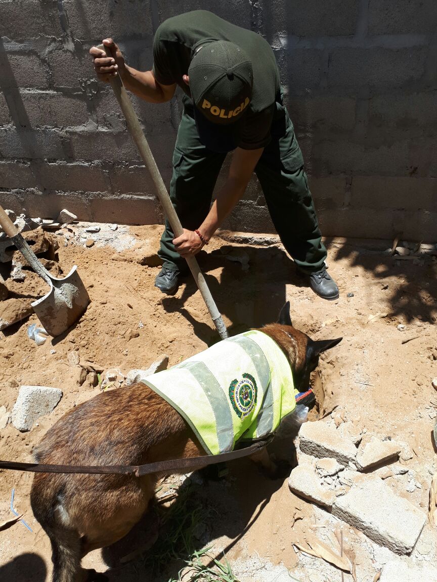 camino-buscando-droga