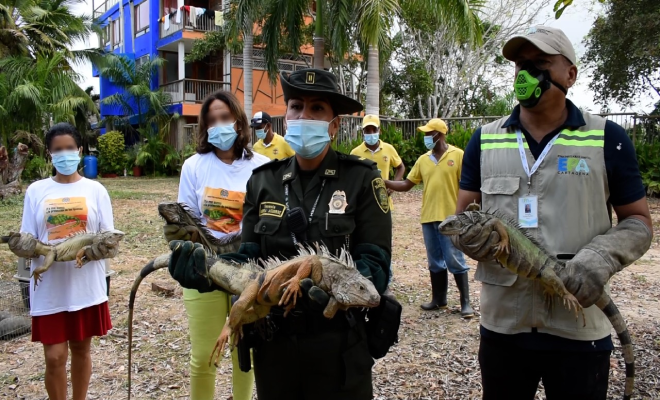 Campaña-Yo-me-sumo-a-la-proteccion-de-las-iguanas