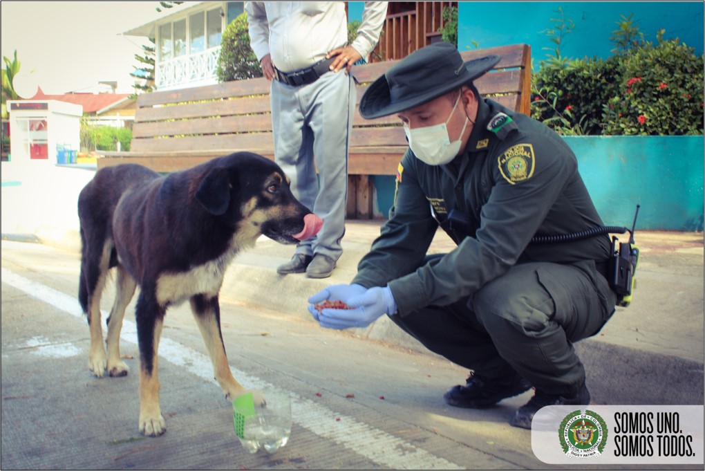 Somos Uno, Somos Todos los comprometidos con la protección de los animales