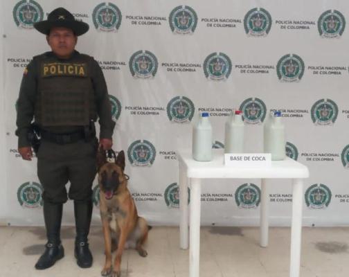 registro a empresas de encomiendas