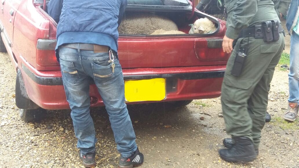 policia-realiza-captura-abigeato