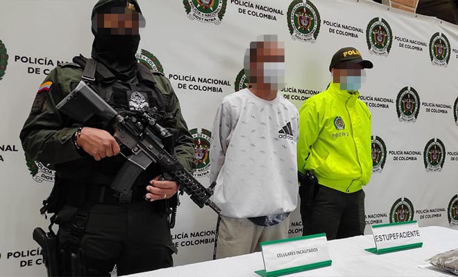 captura pansuto de los pajaros