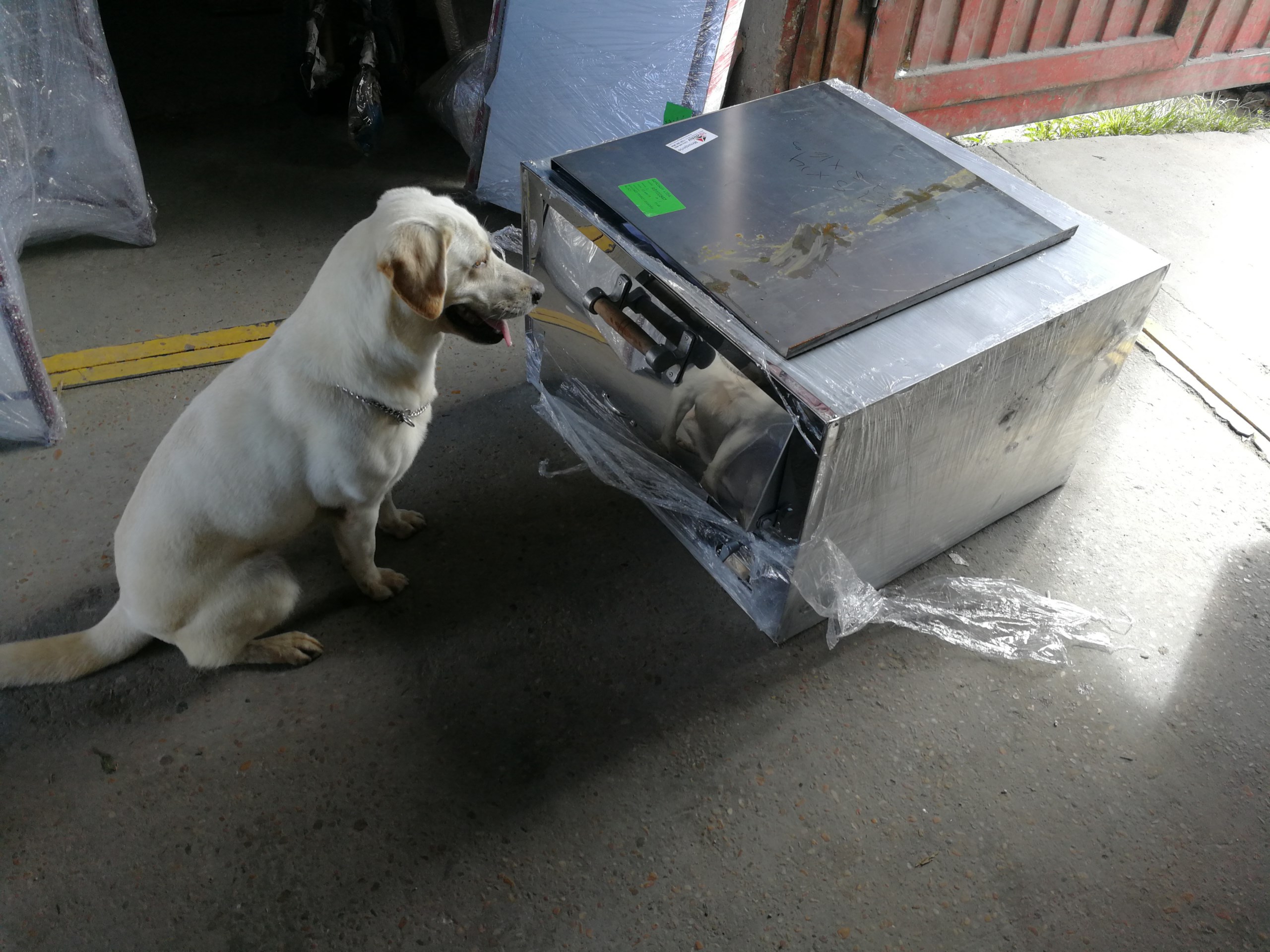 Agudo olfato de los caninos de la policía 
