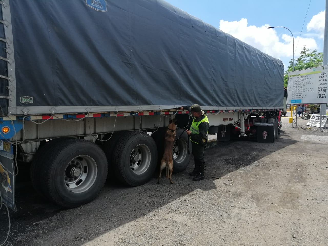 Captura_e_Incautacón_Una_Tonelada_Marihuana_5