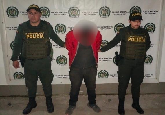 Capturado por transportar madera ilegal