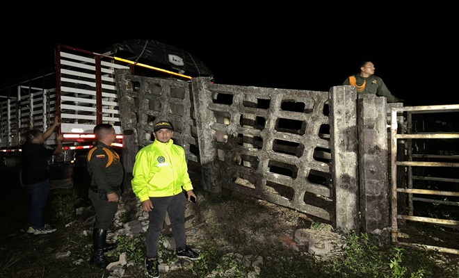 recuperación de ganado hurtado