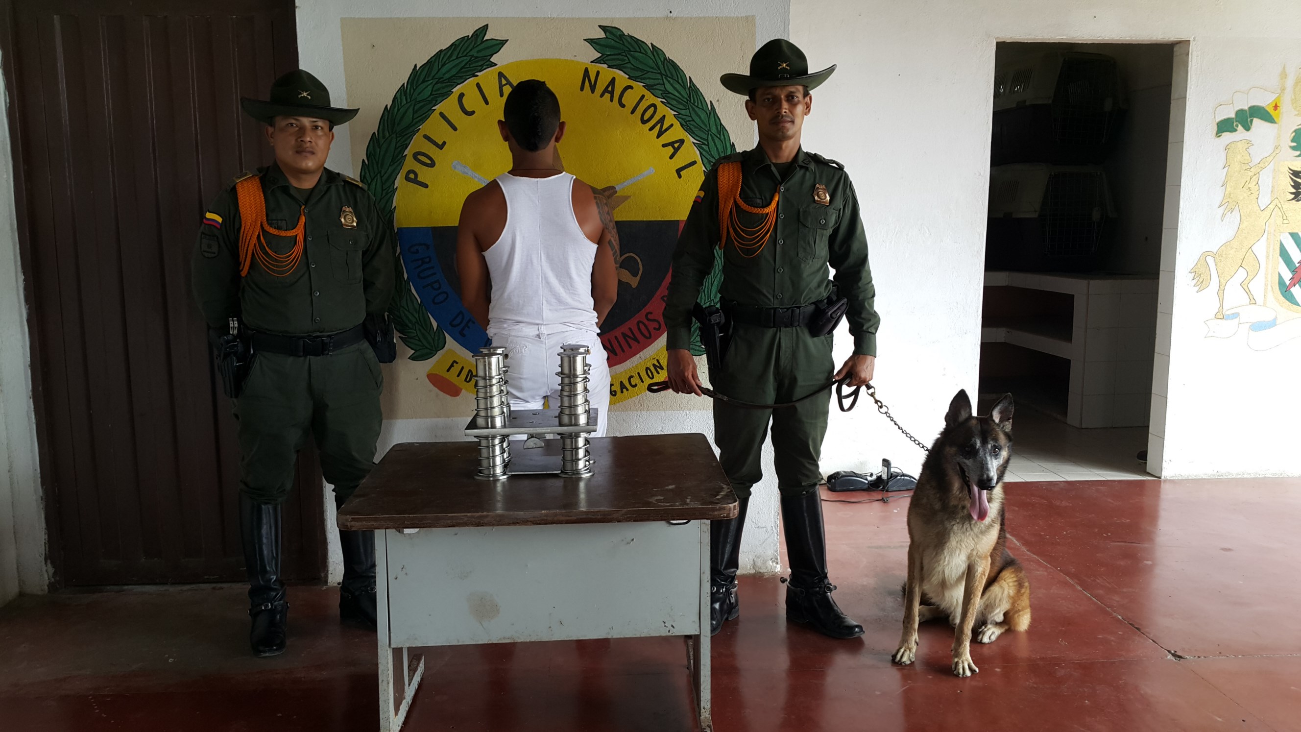 tres-kilos-del-alcaloide 