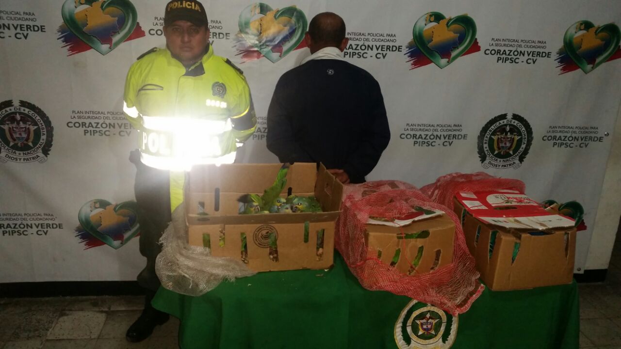 capturado_por_transportar_aves