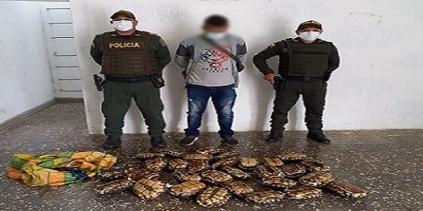 Persona capturada-policías custodiando- fauna recuperada