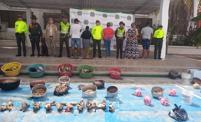 capturados-tortuga-2