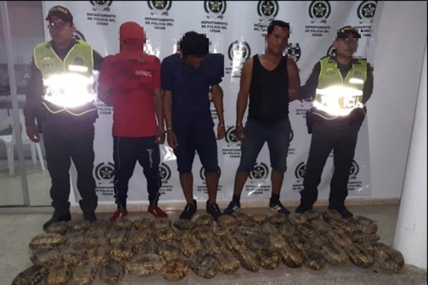 Capturados-tres-hombres-que-prentendían-comercializar-tortugas