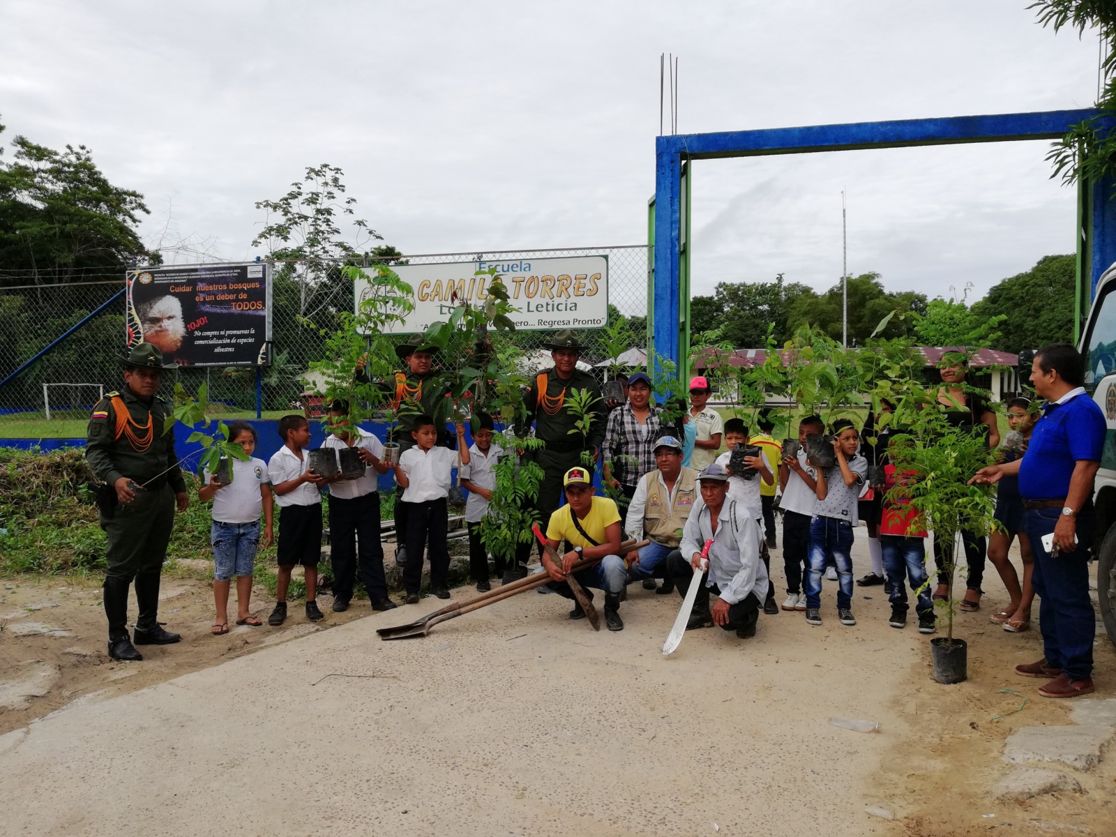 plantas nativas fueron sembradas