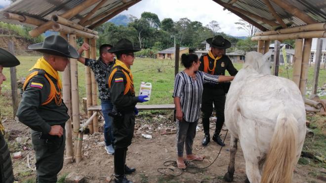 Desparasitación de caballos