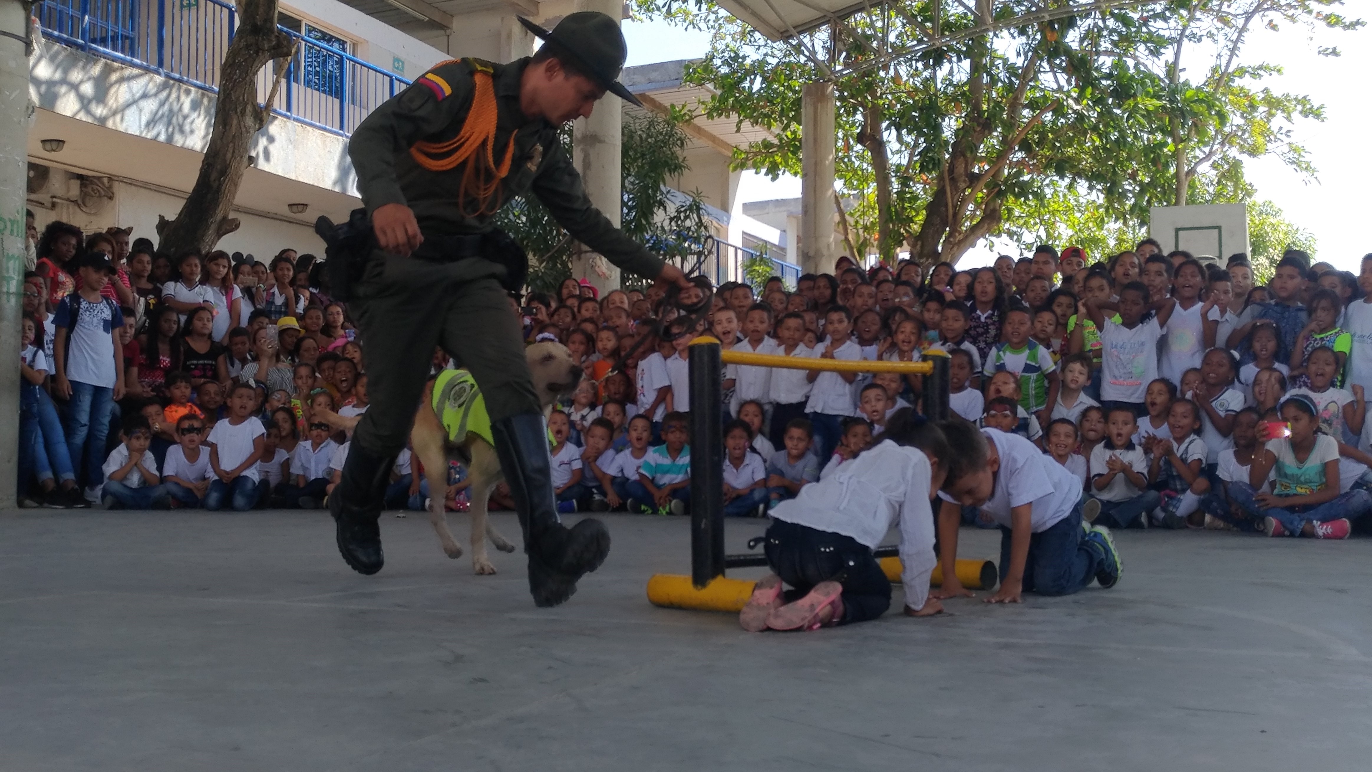 Carnavalores, guías caninos