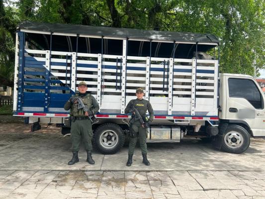 Acciones operativas contra el hurto sobre cabezas de ganado en el Meta