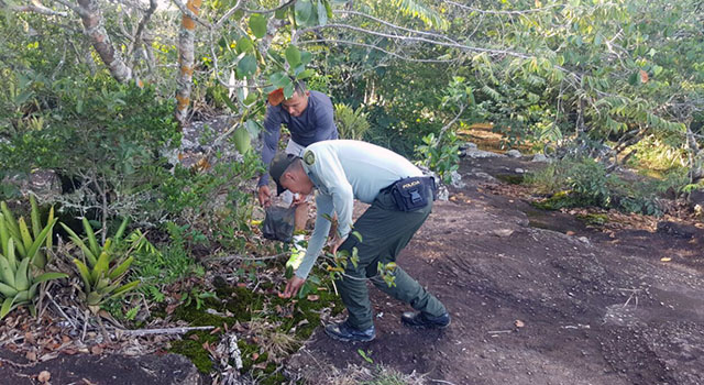 En La Macarena-la Policía Nacional-conmemoró el-‘Día Mundial del Medio Ambiente’