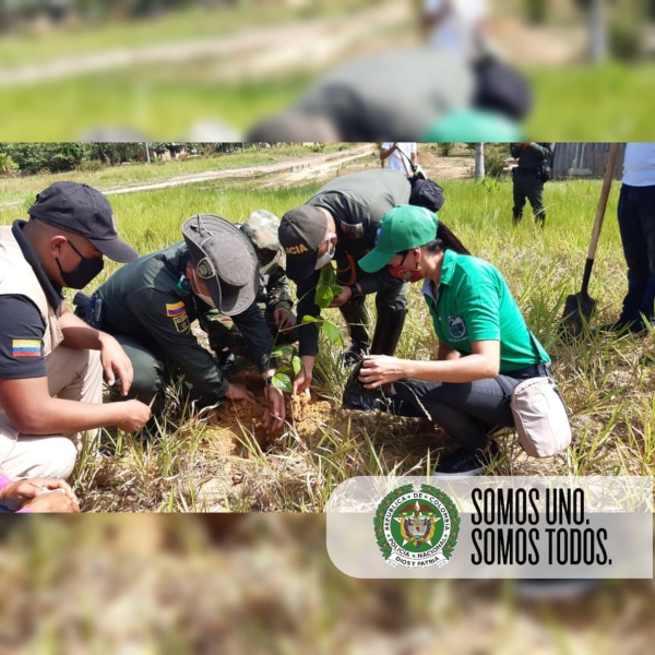 Celebramos_el_día_mundial_del_árbol 