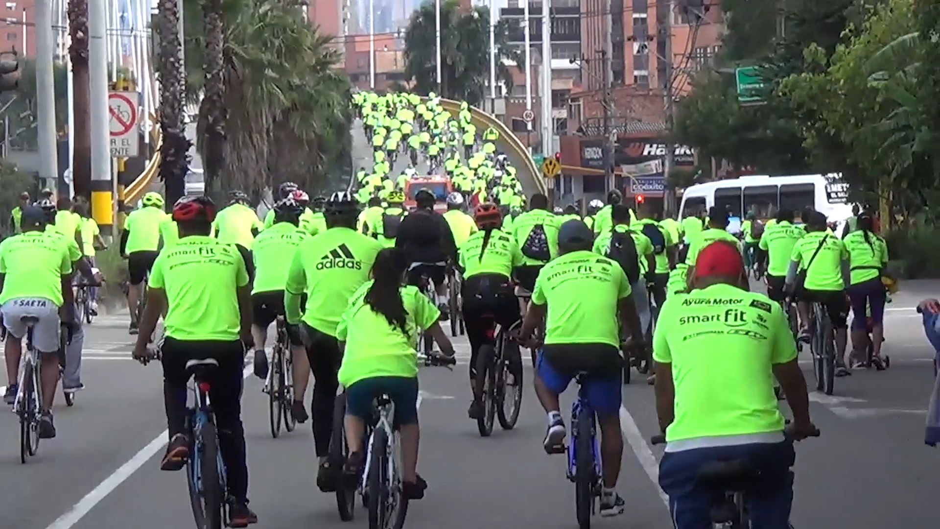 Participantes primer ciclo paseo familiar área metropolitana 