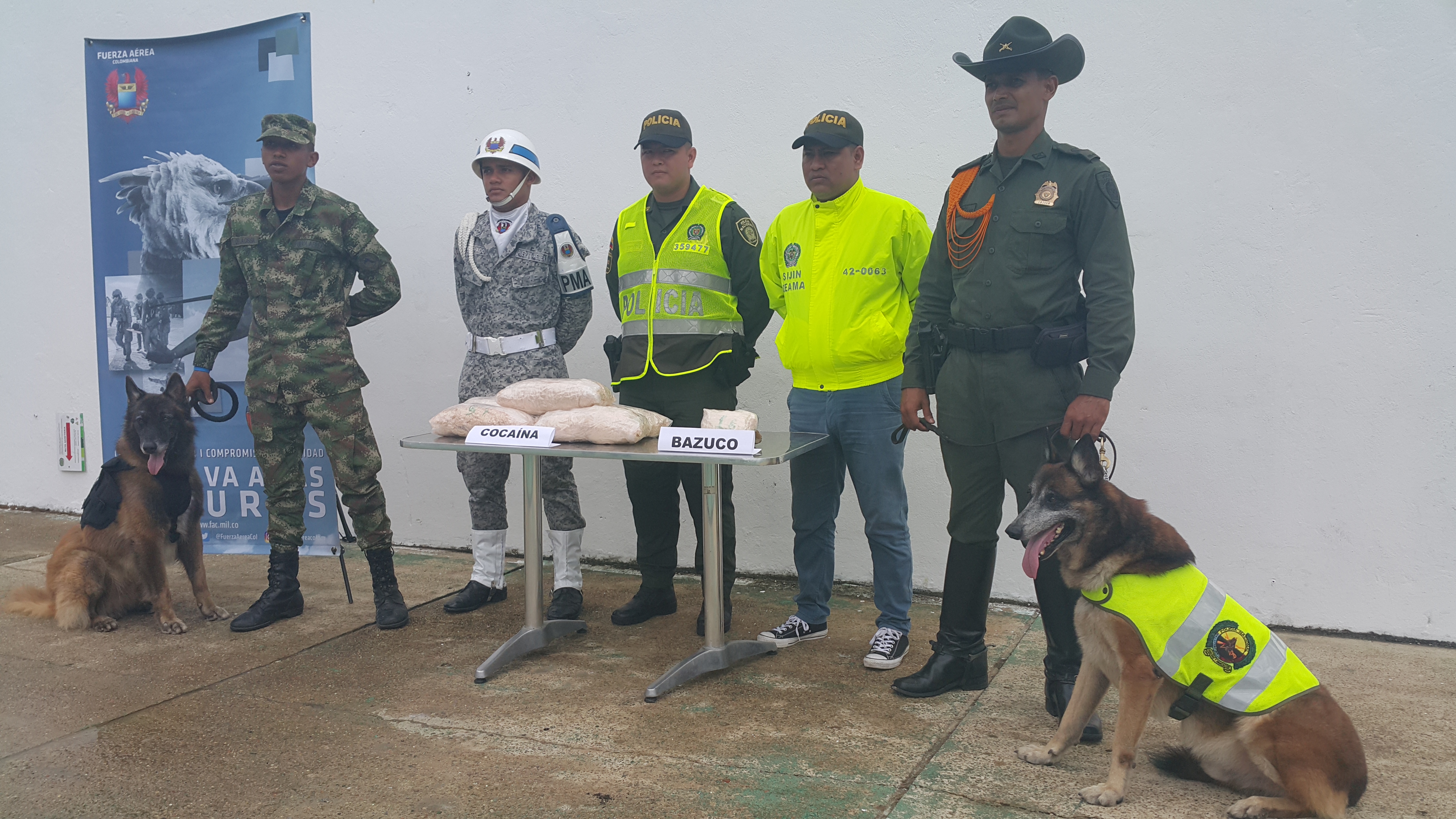 rabajo conjunto de los perros antinarcóticos