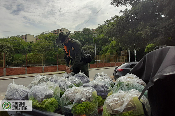 Campesinos provincia de soto norte, comercializan sus productos