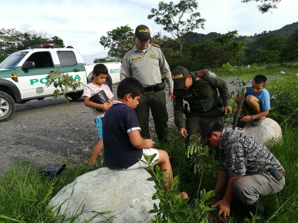 En-el-Meta-“Juntos-por-el-Ambiente”-celebramos-el-‘Día-del-Árbol’