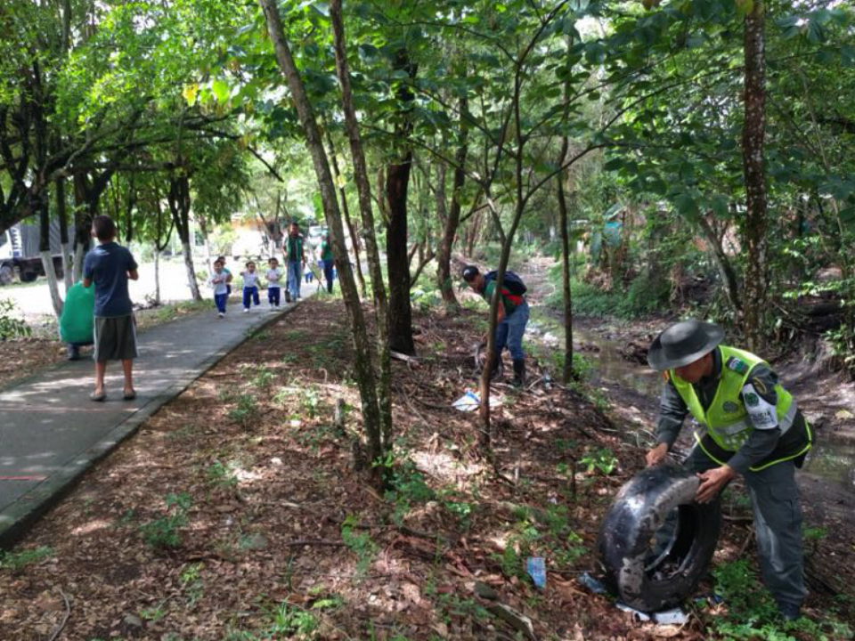 En-el-Meta-“Juntos-por-el-Ambiente”-celebramos-el-‘Día-del-Árbol’
