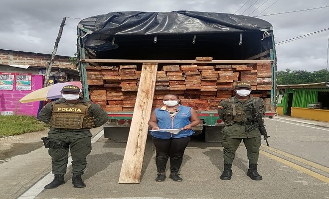 Continuamos los controles para frenar la tala de árboles y el tráfico ilegal de madera