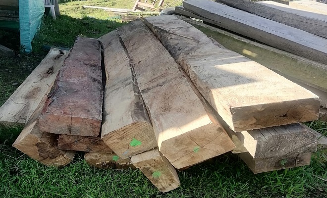 Continuamos operativos contra el tráfico ilegal de madera
