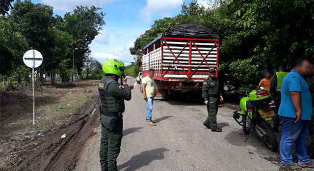 La Policía Nacional-se incauta de 161 semovientes-de dudosa procedencia-en el Meta
