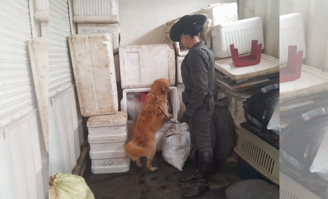 Operativos de control en empresas de encomiendas y aeropuerto