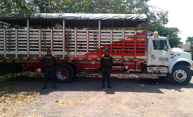 Plan-de-Choque-Construyendo-Seguridad-continúa-combatiendo-el-abigeato-en-Meta